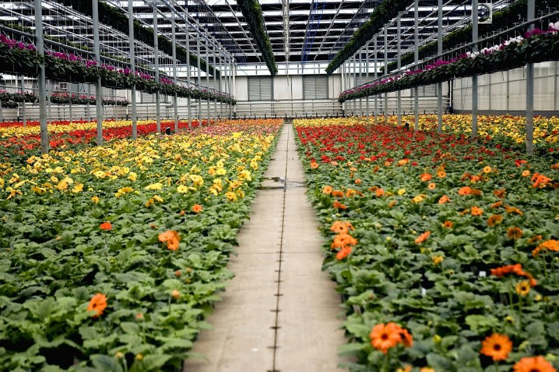 Výrobce substrátů Agro CS loni zvedl tržby, ale strojírenská divize má výsledky horší