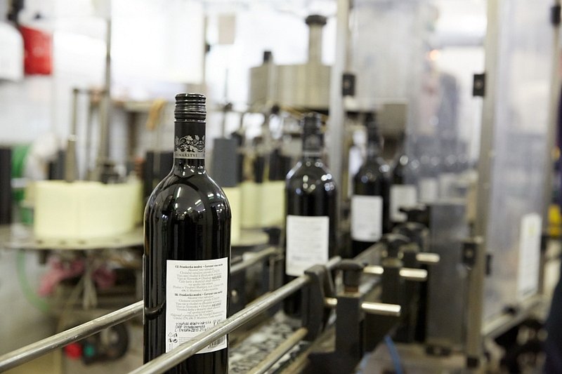 Čeští vinaři loni vyprodukovali 619 000 hektolitrů vína, meziročně o 169 000 více