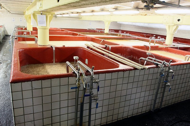 Ústecký deník: Heineken přestane vařit pivo Březňák na Ústecku, výrobu přesune