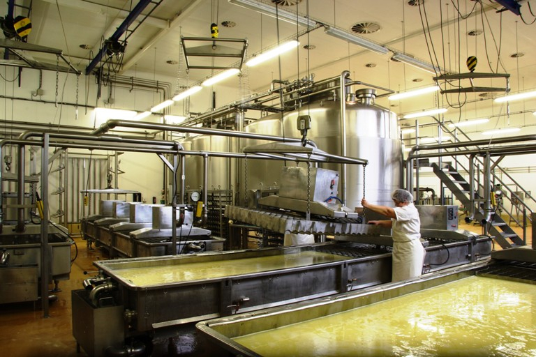 Výroba mléka v ČR navzdory velkému úbytku krav roste i díky investicím do technologií